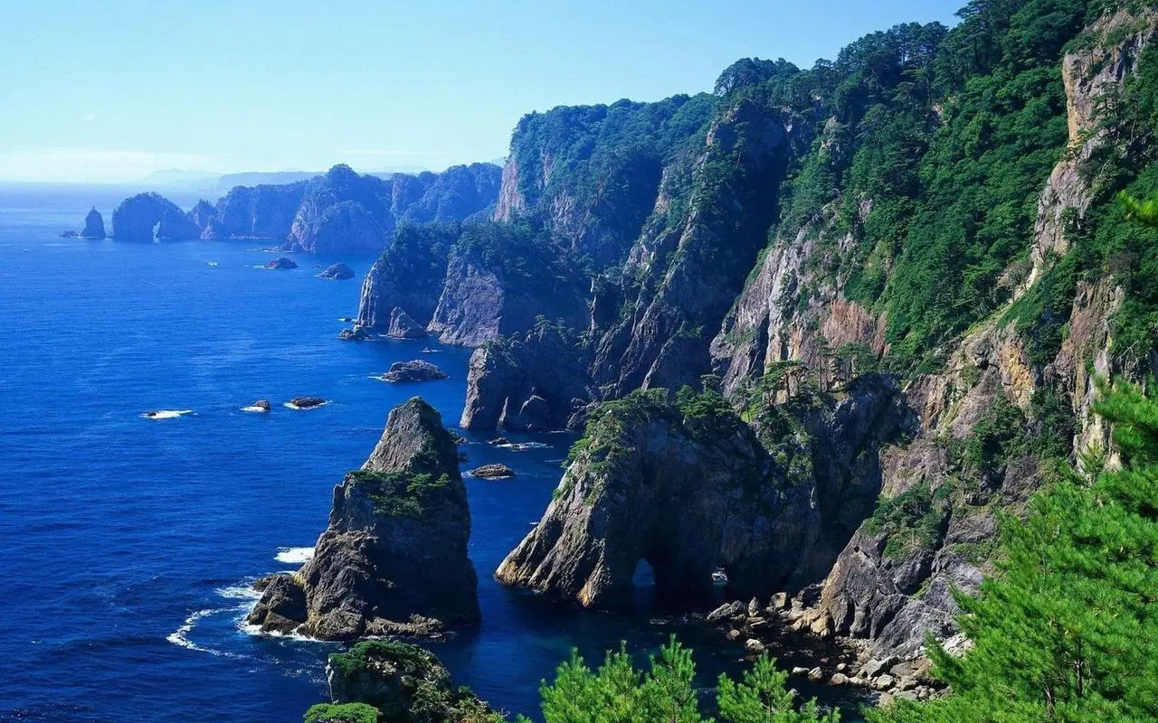 先进高标准自动化